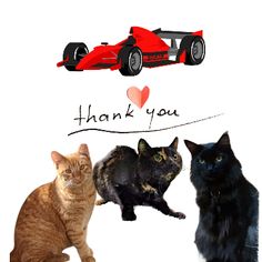 three cats sitting next to each other in front of a red race car and the words thank you