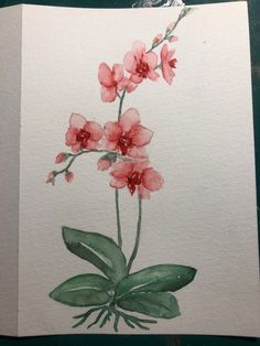 watercolor painting of pink flowers on white paper