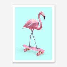 a pink flamingo standing on top of a skateboard