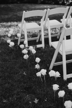 Wedding aisle lined with single long stemmed white roses. Flower Stem Wedding Aisle, White Rose Lined Aisle, White Roses Down Aisle, Single Stem Flower Aisle, Single Stem Aisle Flowers, Minimalistic Wedding Ceremony, Grounded Ceremony Flowers, Single Stem Aisle, Rose Aisle Wedding