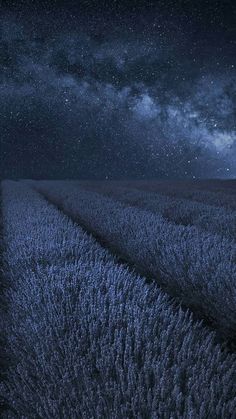 the night sky is filled with stars and clouds above a field full of tall grass