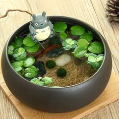 a bowl filled with water and plants on top of a wooden table