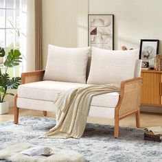 a living room scene with focus on the sofa and rug, which has been placed in front of a window