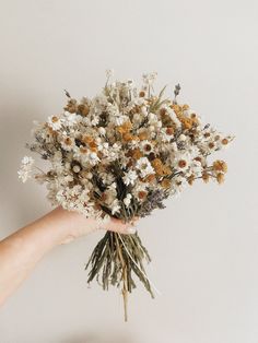 a person's hand holding a bouquet of wildflowers against a white background