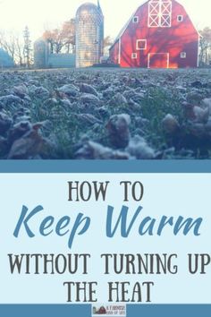 A Minnesota farm(ish) girl knows how to keep warm when the temps turn cold. Here are my suggestions for how to stay toasty without turning up the heat. Homesteading Diy, Homestead Farm, Homesteading Skills, Homestead Living, Winter Ideas, Homestead Survival