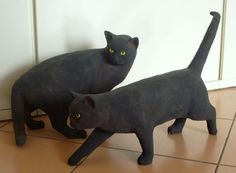 two black cats standing next to each other on a tile floor in front of a white wall