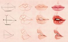 a drawing of various lips with different shapes