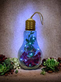 a light bulb filled with plants and lights