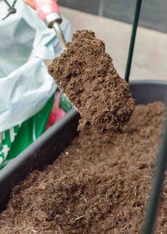 Are you looking for advice on the best compost for pots and hanging baskets?  This guide covers everything you need to know about choosing the right compost for your container plants. Spring Planter, Ornamental Cabbage, Easy Plants To Grow, Spring Flowering Bulbs, Growing Plants Indoors, Outdoor Pots, Spring Plants, Easy Plants, Flower Spike