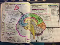 an open notebook with a diagram of the human brain