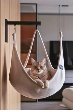 a cat laying in a hanging hammock chair