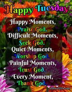 colorful flowers with the words happy tuesday on it and an image of a pot full of flowers