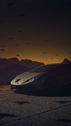 a silver sports car parked on the side of a road with birds flying in the sky