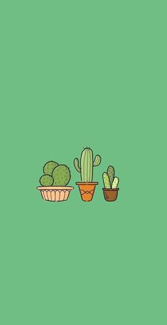 cactuses and succulents are arranged in pots on a green background,