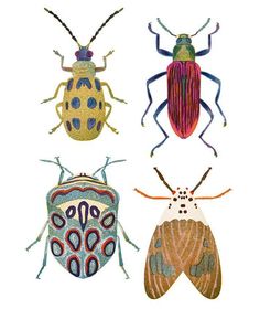 four different colored bugs on a white background