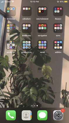 an iphone screen showing the home screen with icons and plants in front of windowsills