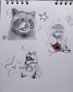 two drawings of raccoons and other animals