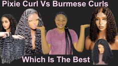 Details comparing and facts about pixie curls and Burmese curls