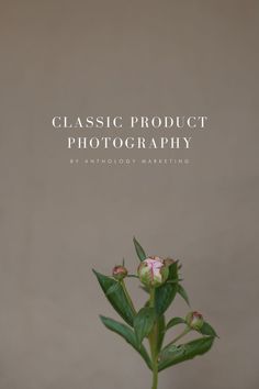 a flower in a vase with the words classic product photography