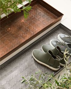 four pairs of shoes are sitting on the floor next to a plant and potted tree