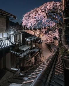 a tree with pink flowers on it next to some buildings and a train track at night