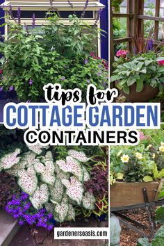 Cottage Garden Design Ideas and Tips