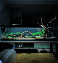 an aquarium is lit up in the dark, with moss and trees growing out of it