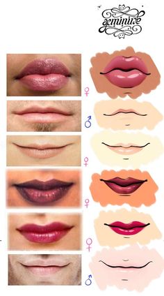 the different lip shapes and how to use them