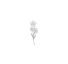 a single line drawing of flowers on a white background