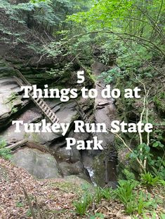 the words things to do at turkey run state park