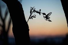 the silhouette of a hummingbird on a tree branch