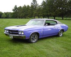 a purple muscle car parked on top of a lush green field next to some trees