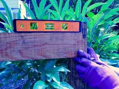 a person in purple gloves holding up a wooden board with numbers on it and plants behind them