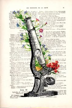 an old microscope with flowers in it is on top of a page from the book