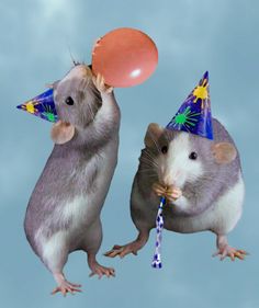 two ratty mice wearing party hats and holding a balloon in the shape of a birthday hat