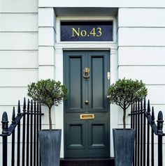 a green door with two potted trees in front of it and the number no 43