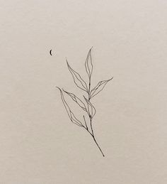 Earthy Minimalist Tattoo, Leaf Line Art Tattoo, Single Needle Bird Tattoo, Leaves Tattoo Back, Abstract Botanical Tattoo, Plant Tattoo Fine Line, Leaf And Flower Tattoo, Plant Tattoos Simple, Minimalist Botanical Tattoo