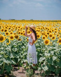 a woman standing in a field of sunflowers with her hand on her head