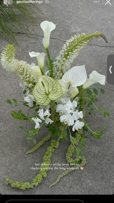 Jasmine Bridal Bouquet, White Delphinium Arrangement, Yacht Flower Arrangements, Black And Green Floral Arrangements, Bright Green Flowers, Wedding Florals Arch, Engagement Party Floral Arrangements, Waterfall Flower Arrangements, Abstract Wedding Bouquets