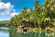 After watching the cute little primates clinging to small branches, let’s head to one of the most relaxing activities – cruising the enchanting Loboc River!
#Travel #Tour #Trip #TourEiffel #TripOut #Trippiered #Tavelessentialsinspo #Touristoutfit #Touristoutfitspiritweek #Falltravel #TravelOutfit #TravelVisionBoard #TravelEssentialsInspo #WinterTravelInspo #2025LuxuryTravel #Thingstodoinsummer #Europe #Philippines #PhilippinesTravelGuide #EuropeTravelGuide #WinterTravelInspo #Summer2025 Philippines Bucket List, Philippines Bohol, Float House, Panglao Island, Chocolate Hills, Philippines Travel Guide, Coconut Beach