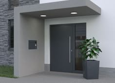 a potted plant sitting in front of a gray door