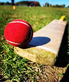 a red ball sitting on top of a wooden bat