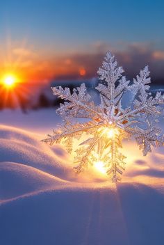 a snowflake with the sun setting in the background and some white snow on it