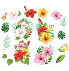 various tropical flowers and leaves on a white background