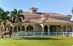 a horse is standing in front of a large house with palm trees on the lawn