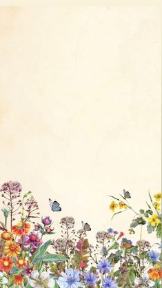 a painting of flowers and butterflies on a white background with an empty space in the middle