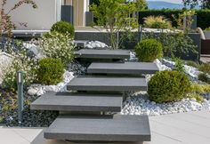 a garden with stone steps leading up to the house