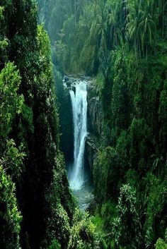 there is a waterfall in the middle of some trees and plants on the side of it