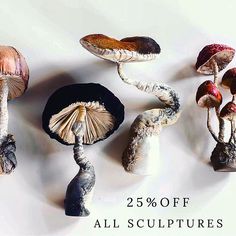 several mushrooms are shown with the caption 25 % off all sculptures