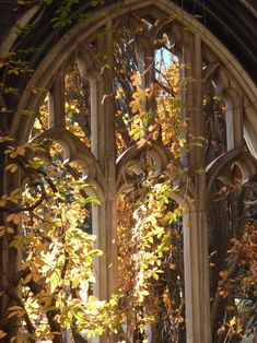 an arched window with vines growing out of it's sides and leaves in the foreground